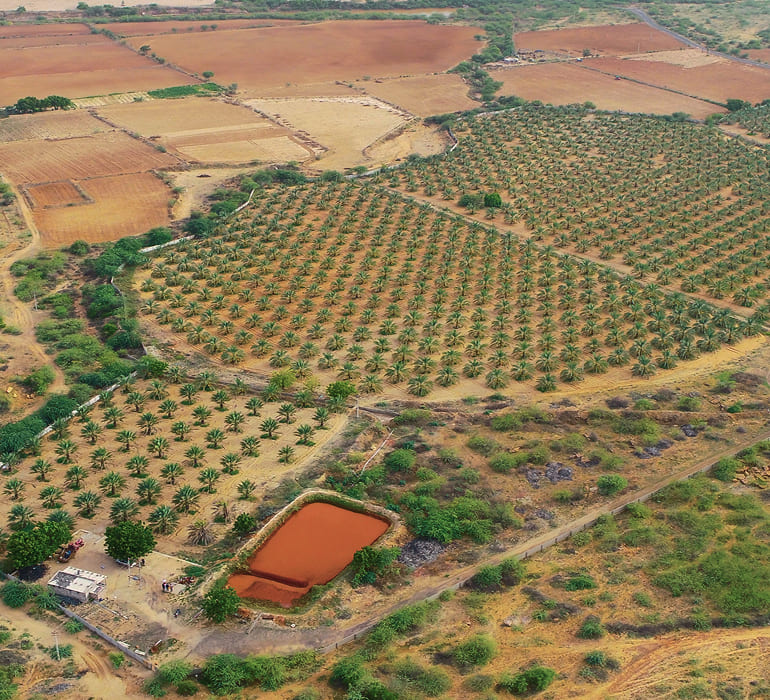 Friends enjoying Barhi date-based mead together indoors, sharing drinks and food in a relaxed setting.