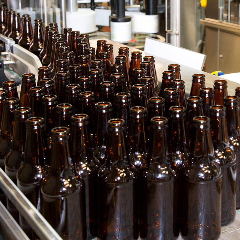Empty glass bottles moving along a bottling line inside a mead production facility.