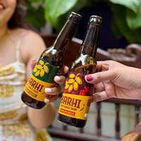 Barhi Bottles cheers